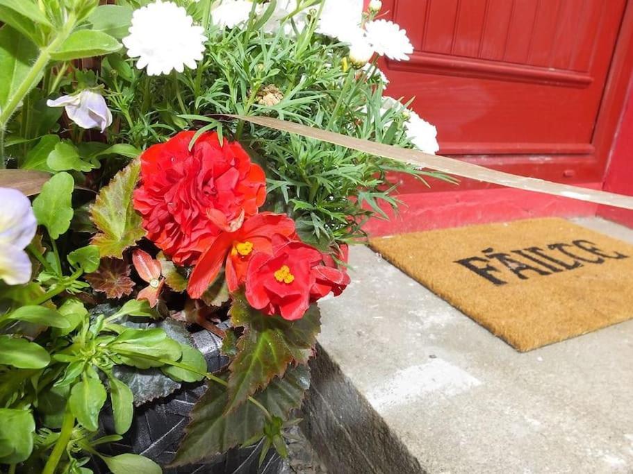 The Cosy Farm Cottage, Donegal Inver ภายนอก รูปภาพ