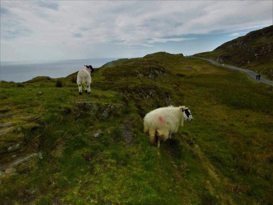 The Cosy Farm Cottage, Donegal Inver ภายนอก รูปภาพ