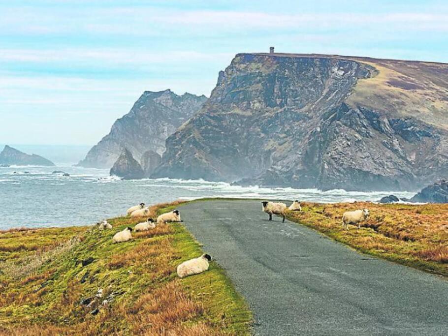 The Cosy Farm Cottage, Donegal Inver ภายนอก รูปภาพ